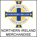 advert banner shown on ulstercricketer.com
