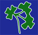 Cricket Ireland