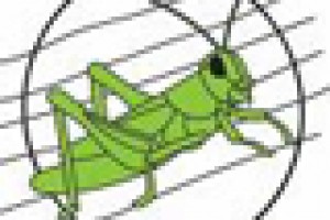 SUCCESSFUL TOUR OVER FOR ULSTER GRASSHOPPERS