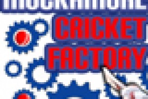 MUCKAMORE CRICKET FACTORY