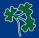 IRELAND INTERCONTINENTAL CUP SQUAD